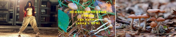 мяу мяу мука Балабаново