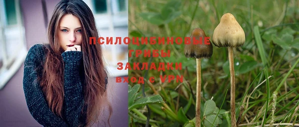 мяу мяу мука Балабаново